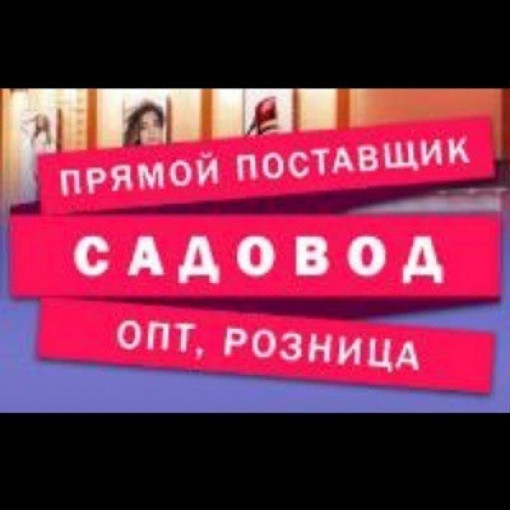 Анюта Салманова Рынок Садовод