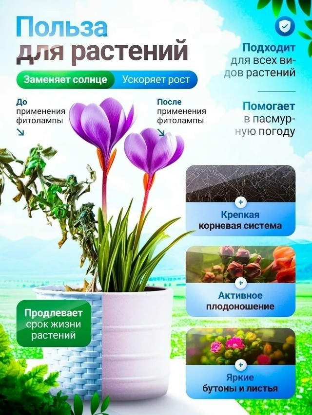 Купить Фитолампа для растений оптом Садовод Интернет-каталог Садовод интернет-каталог