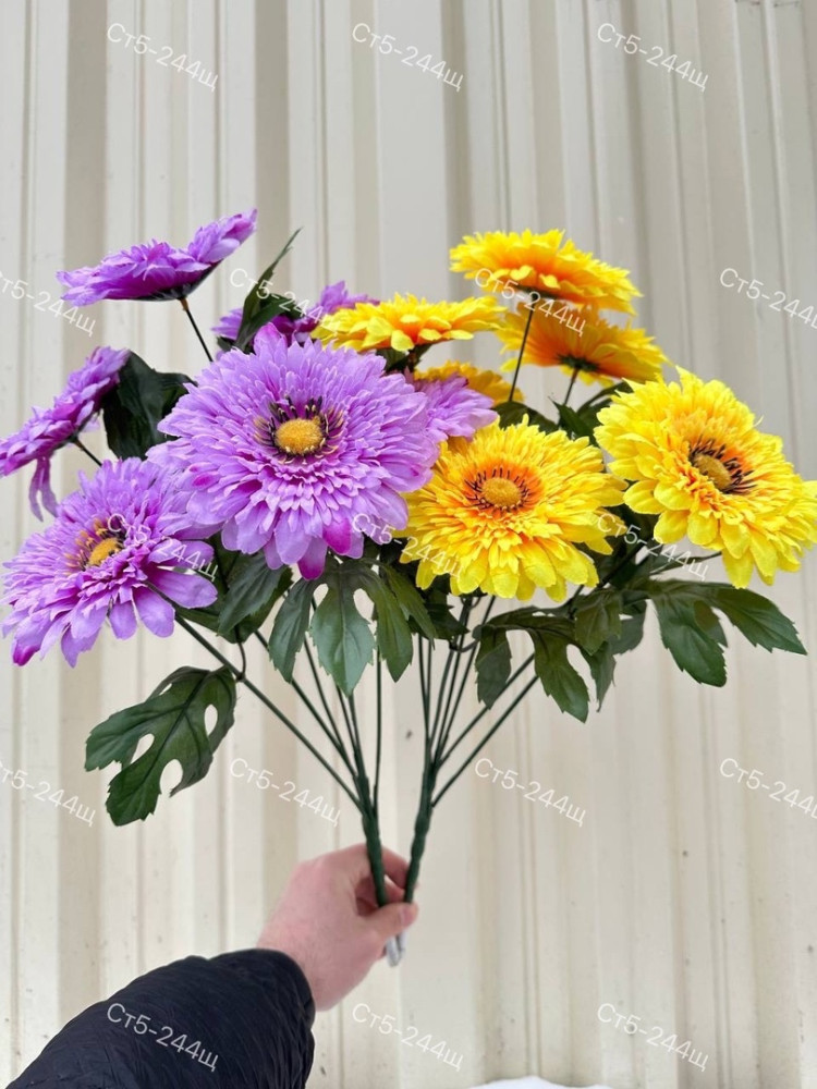 Купить цветы оптом Садовод Интернет-каталог Садовод интернет-каталог