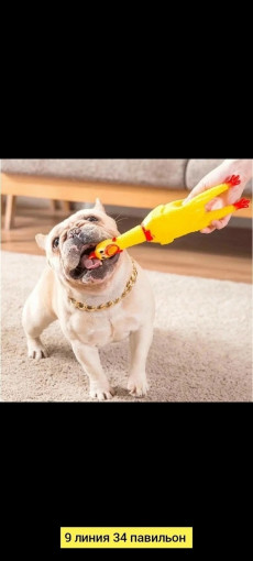 Игрушка для животных САДОВОД официальный интернет-каталог