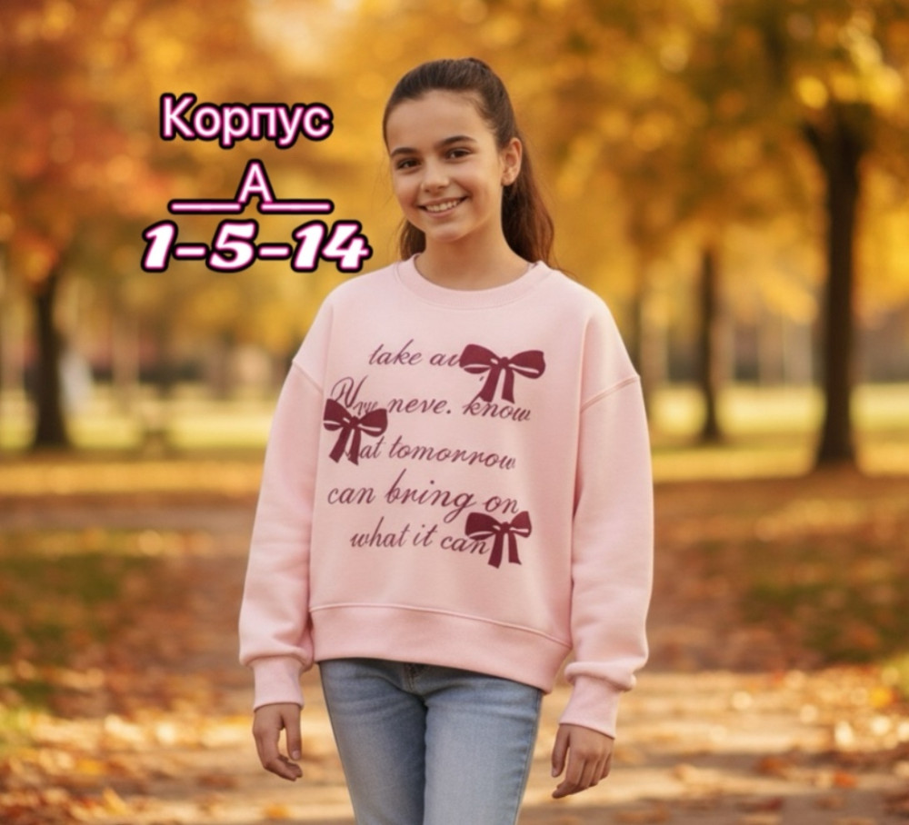 Купить Толстовка оптом Садовод Интернет-каталог Садовод интернет-каталог