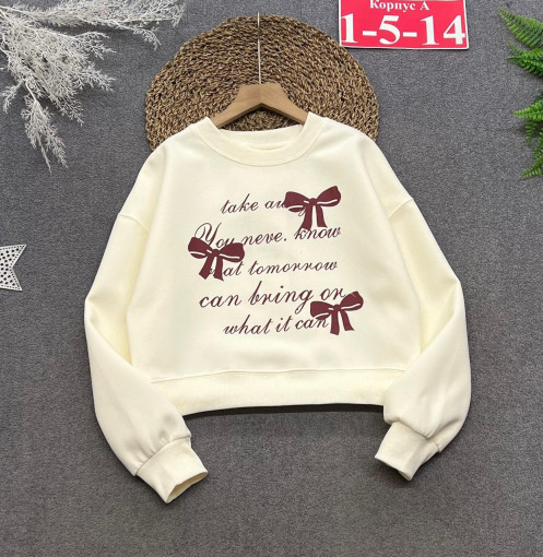 Толстовка САДОВОД официальный интернет-каталог