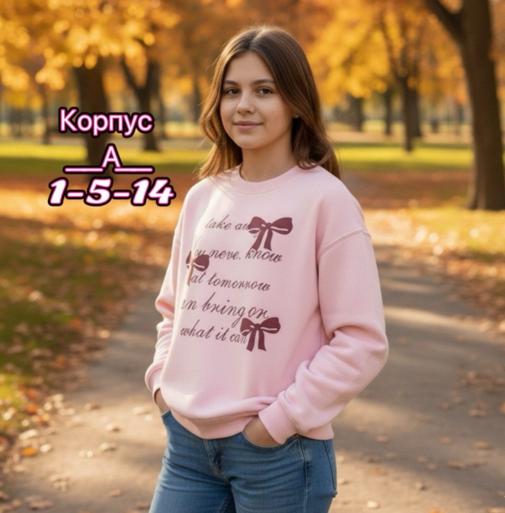 Купить Толстовка оптом Садовод Интернет-каталог Садовод интернет-каталог