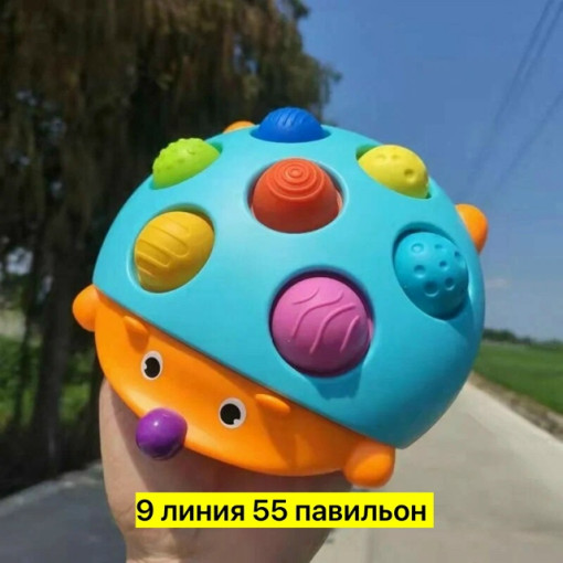 Сортер в виде eжика САДОВОД официальный интернет-каталог