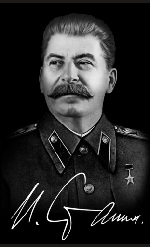 Кожаная обложка на паспорт с цветным принтом Сталин САДОВОД БАЗА