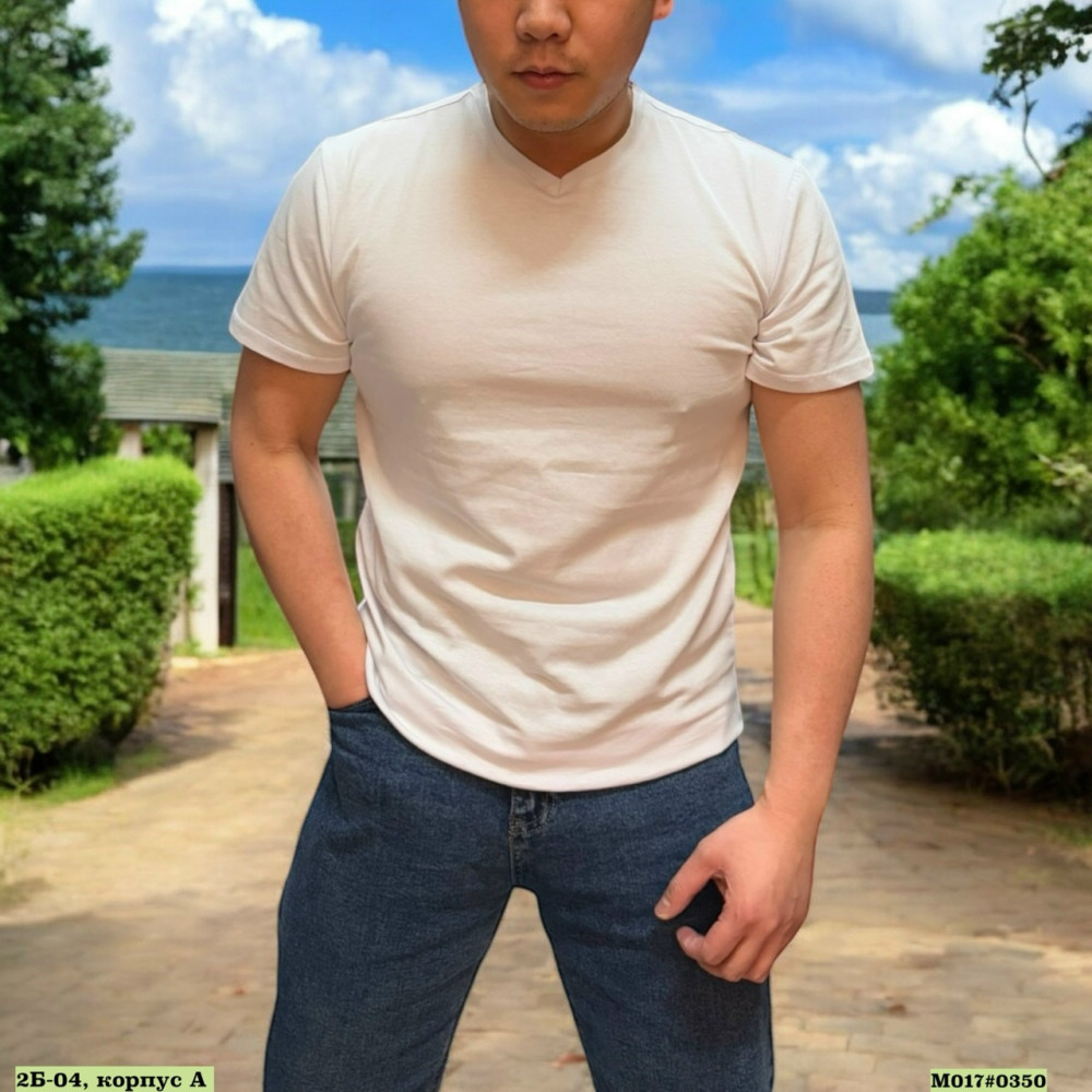 Купить Мужская футболка белая оптом Садовод Интернет-каталог Садовод интернет-каталог