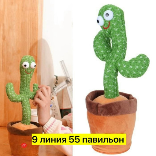кактус САДОВОД официальный интернет-каталог
