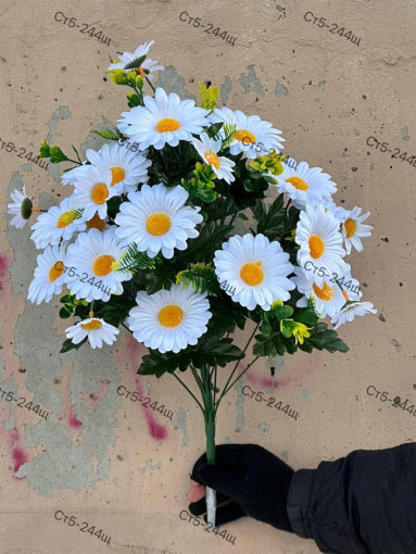 цветы САДОВОД БАЗА
