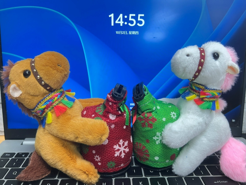 Купить копилка оптом Садовод Интернет-каталог Садовод интернет-каталог