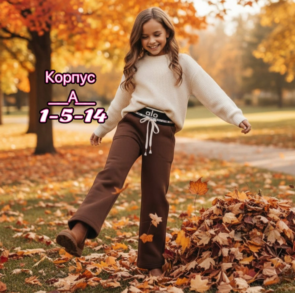 Купить Штаны коричневые оптом Садовод Интернет-каталог Садовод интернет-каталог