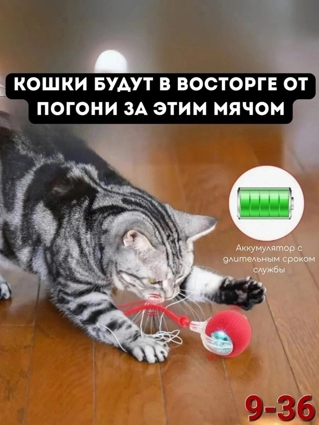 Купить Игрушка для кошек оптом Садовод Интернет-каталог Садовод интернет-каталог